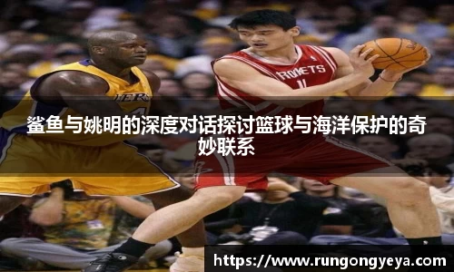 摩根综合体育官网