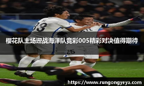 摩根综合体育官网